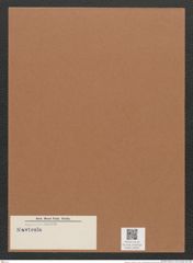 Navicula sp. (de-Toni-Nr.: Genus 1) Zeichnungen Sammlung Grunow Mappe 00652 (Herbarium_W_Grunow_drawings_Folder_00652)